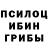Галлюциногенные грибы Psilocybine cubensis faric
