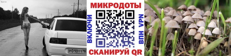где купить наркоту Лабинск Псилоцибиновые грибы ЛСД